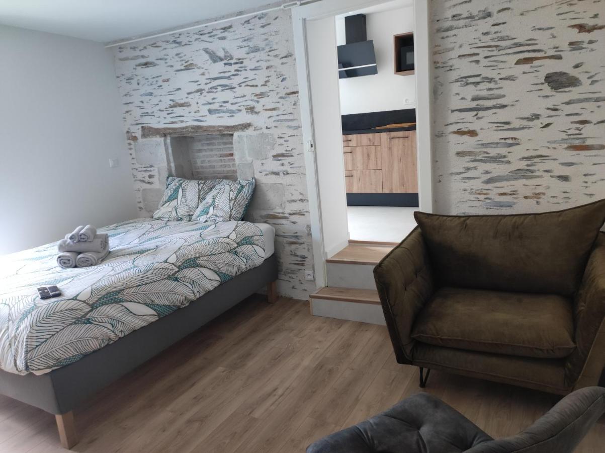 La Douce Angevine - La Perruche - Proche Centre Apartment Анже Екстериор снимка