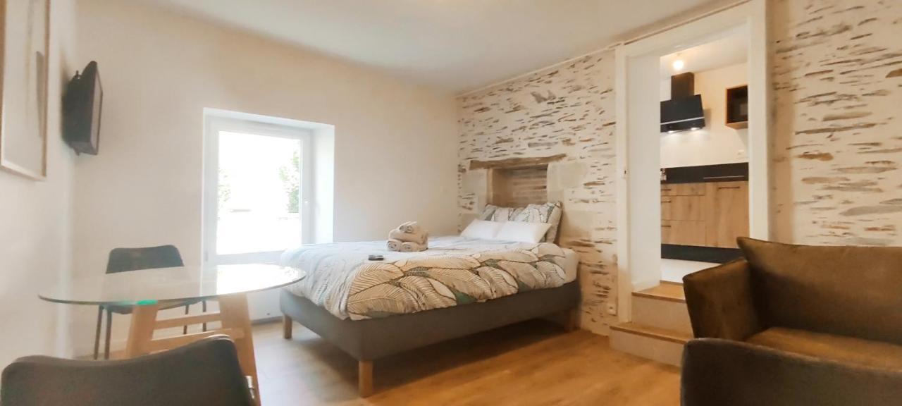 La Douce Angevine - La Perruche - Proche Centre Apartment Анже Екстериор снимка